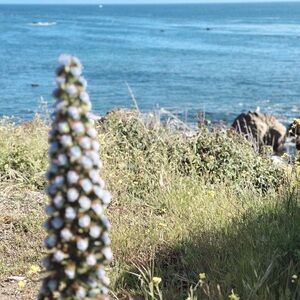 Meet your Posher, Maddie